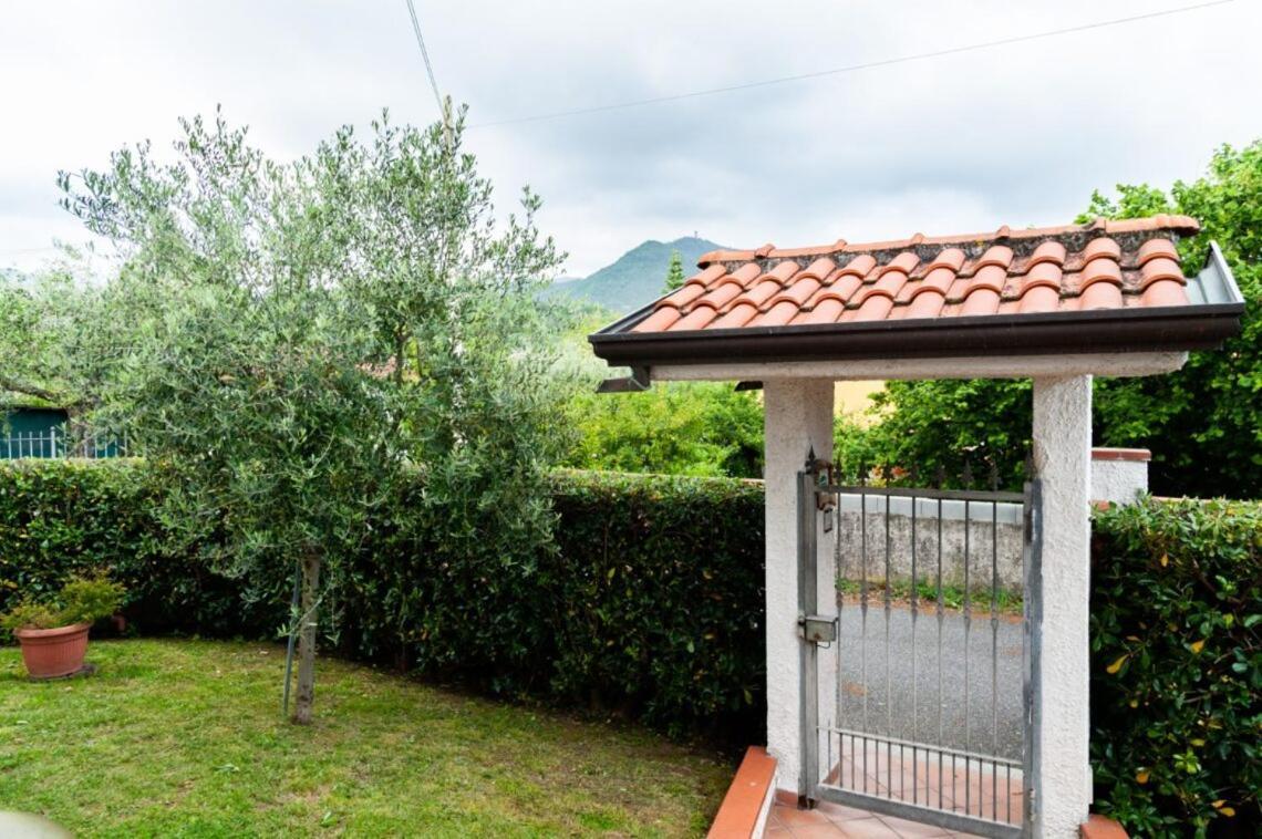 B&B Il Girasole Ortonovo Bagian luar foto